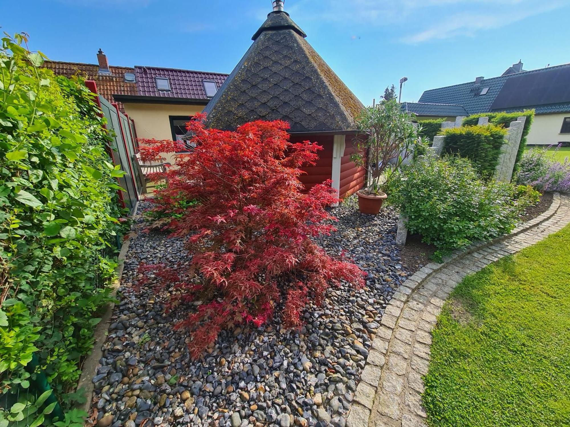 Ferienhaus Saupe シャプローデ エクステリア 写真